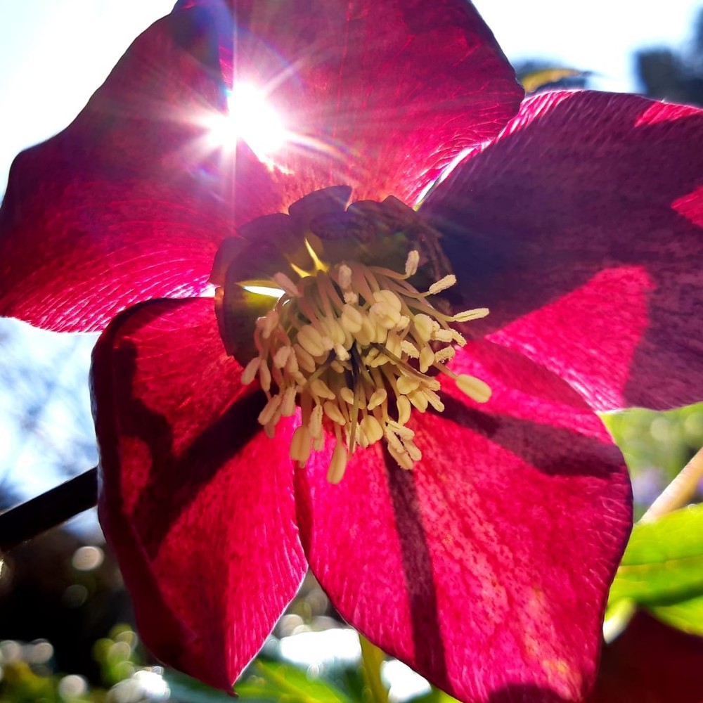 Meet your Posher, Malu